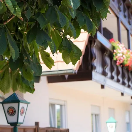 Alte Post Hotel Garni - Schallbach Bei Loerrach 3*