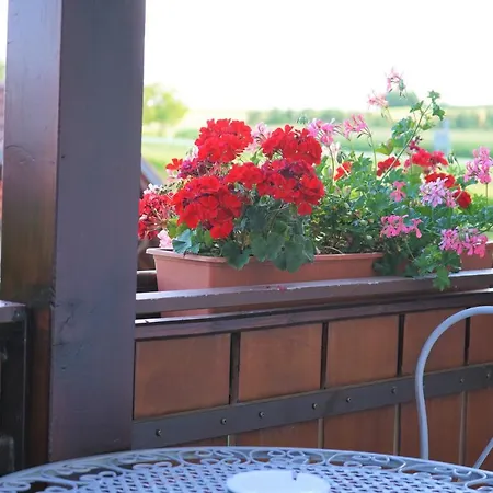 Hotell Alte Post Hotel Garni - Schallbach Bei Loerrach