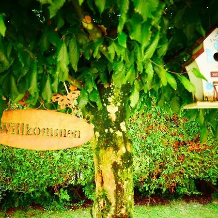 Hotell Alte Post Hotel Garni - Schallbach Bei Loerrach 3*