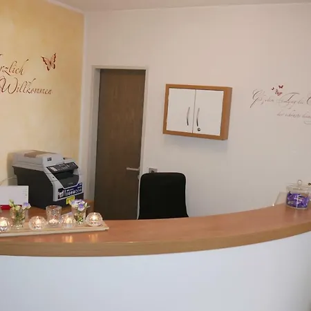 Alte Post Hotel Garni - Schallbach Bei Loerrach 3*