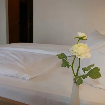 Hotel Alte Post 3*