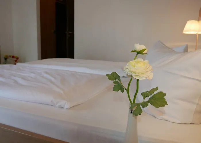 Alte Post Hotel Garni - Schallbach Bei Loerrach 3*